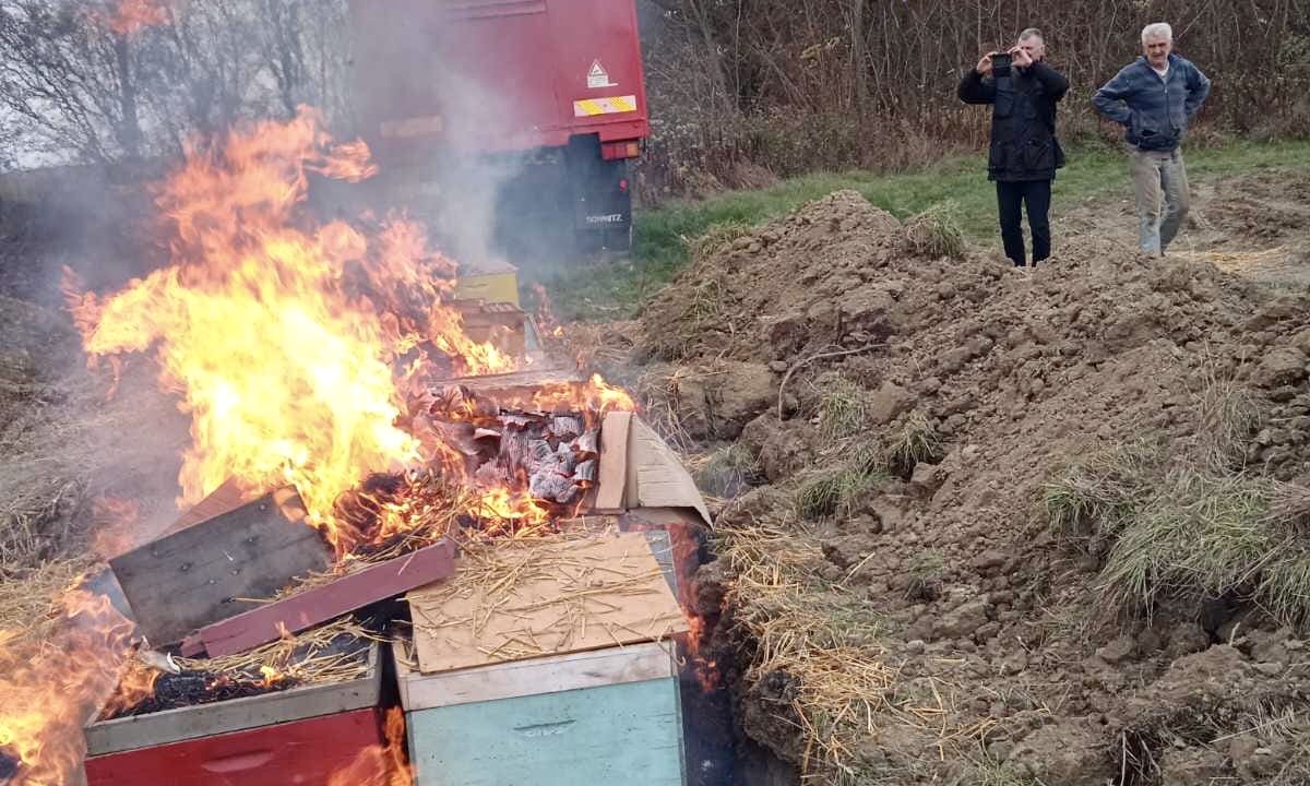 Otišlo u dim 80 košnica pčela