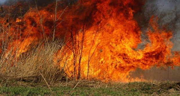 Požar zahvatio više poljoprivrednih površina