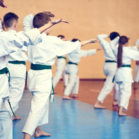 Završila 25. Ljetna karate škola