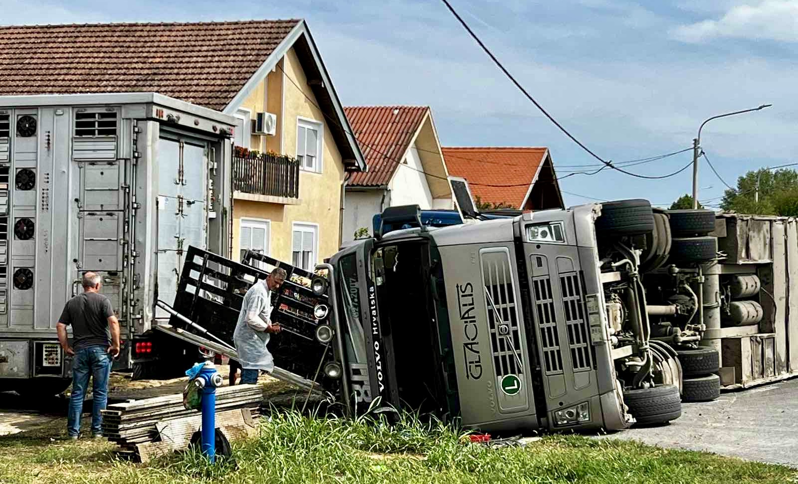 Prevrnuo se kamion sa 150 svinja u Podravskoj Moslavini