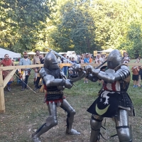 ​Viteški spektakl u Donjem Miholjcu: Oživljen ''Ustanak hrvatskih velikaša'' 